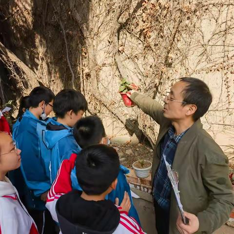 不负青山不负春 同心共建美家园