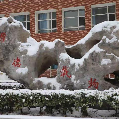 “疫”不容辞，共克时艰——记咸五中教师的抗“疫”故事（六）