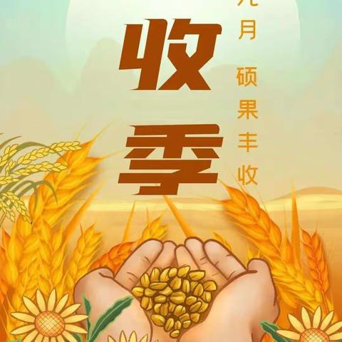 别样秋天   悦享丰收