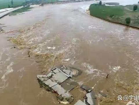 《2023    献县泛区》