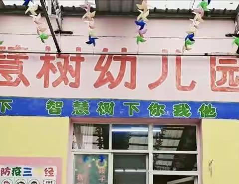 智慧树小二班的美好时光！🌹🌹