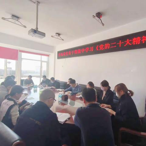 深入学习宣传贯彻党的二十大精神 ——“红色剪纸映初心 踔厉奋楫新征程”