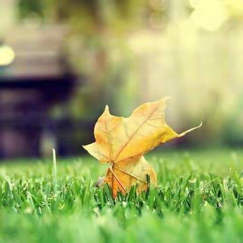 “疫”起努力，自律浇灌，今日开花！——记804寒假学习之星