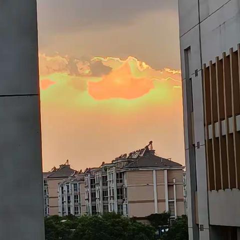 未来可期，努力奋进——804班11月学习之星