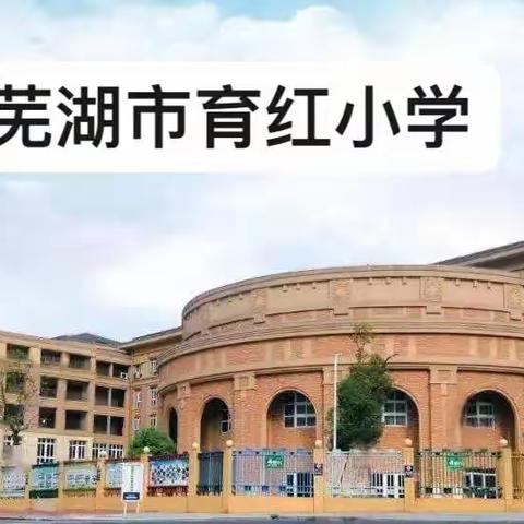 家校合力 “云”端守护——育红小学线上学习指导