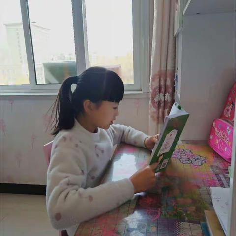 轮回最初的美篇