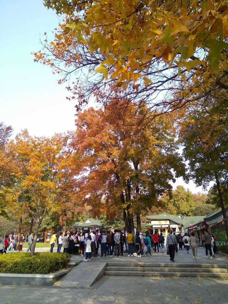 加根的美篇（2019秋游钟山）