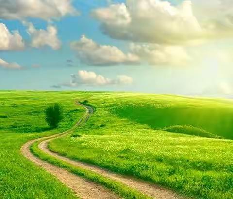 时光有序 课改有痕----陕州区第二小学课改之旅