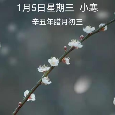 云端再相聚 逐梦争朝夕                              —陕州区第二小学开启线上教学