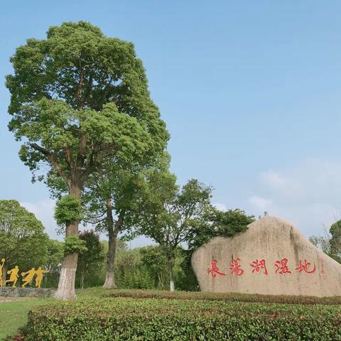 秋到长荡湖湿地公园