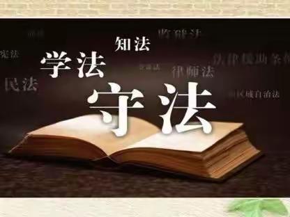 “做知法，守法小学生”—四一班线上主题班会