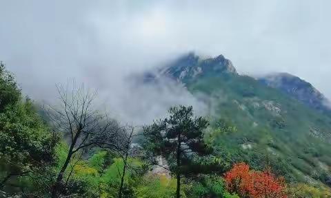 雨中黄山