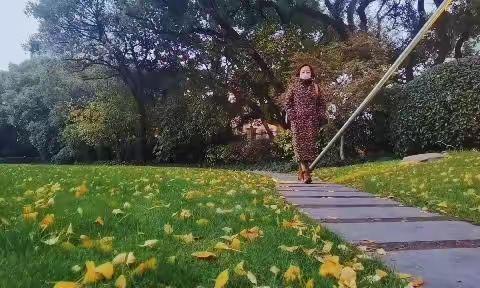 惬意的下午茶时光