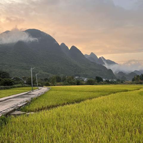 行黔寻清凉(续）———万峰林