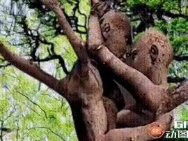 心的陪伴