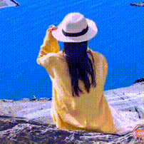 仰望春风