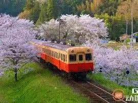 春天的列车