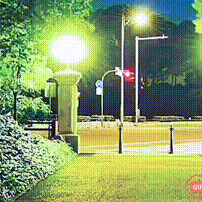 心     路