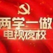 以爱搭建党民桥梁    用心护航脱贫彼岸——北大镇组织收看海南省《“两学一做”电视夜校》第七期