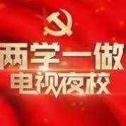 增强支部建设  树立党员先锋——北大镇组织收看海南省《“两学一做”电视夜校》第四期