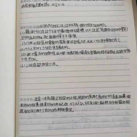 六2班阅读过程性材料