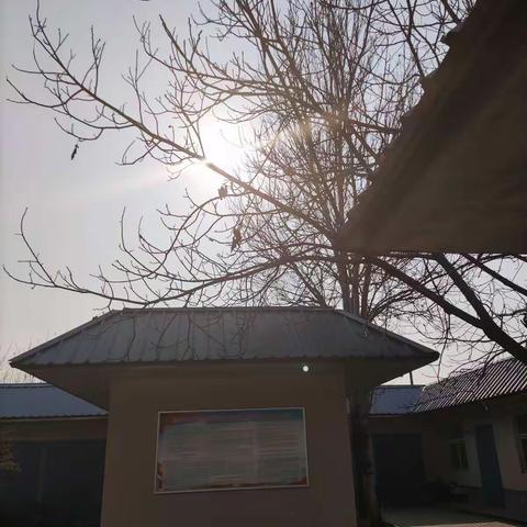 冬至！吃饺子了