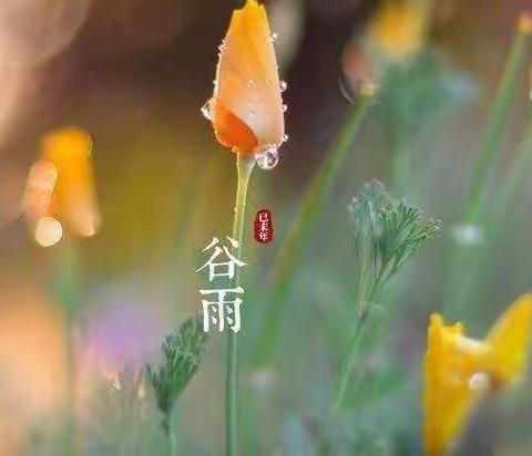 谷雨时节—三年级四班 张轩铭