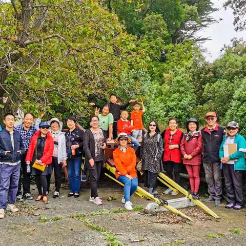 新中文联部分艺术家山地公园写生创作硕果颇丰