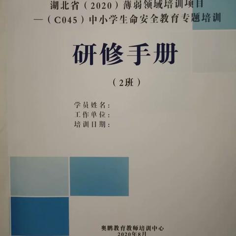 湖北省（2020）薄弱领域培训项目——（C045）中小学生命安全教育专题培训