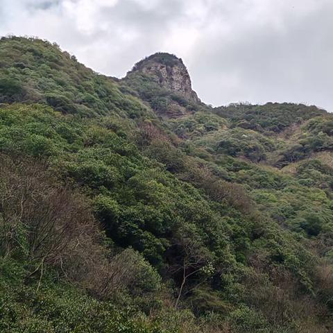 登蜜蜂桶峰