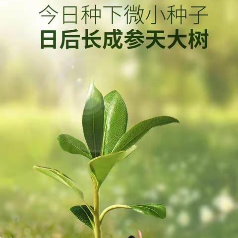 植树节|种下心愿   走向春天