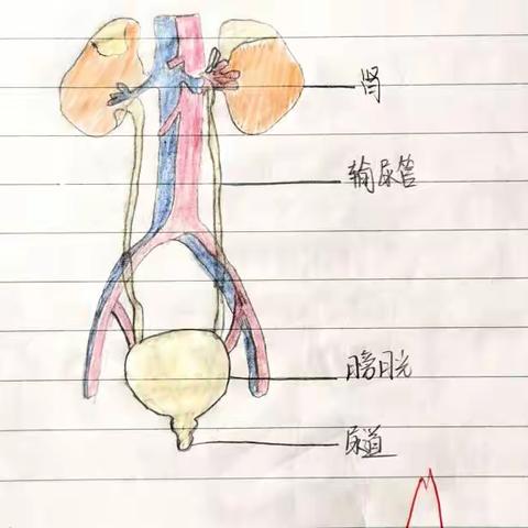 凝心聚力，常规先行—致四月份生物组常规检查