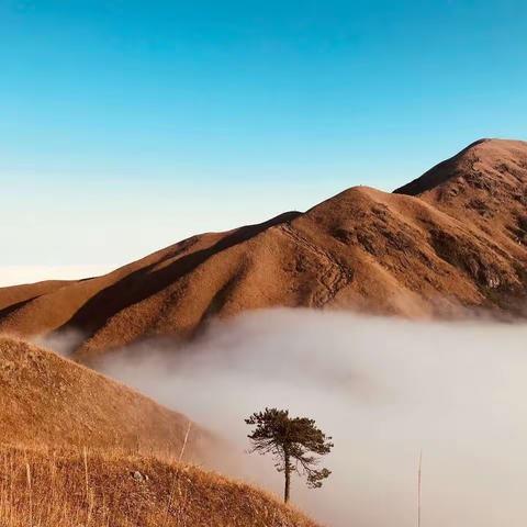 情醉“雾”功山，游侠户外武功山第五季