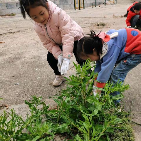 劳动励心智，劳动促成长—关庙镇龙泉小学第二课堂劳动课