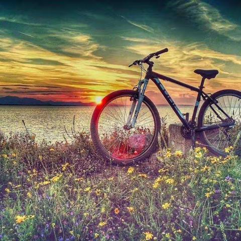 暮省，让改变发生-板泉一中人学习新教育《暮省的反思拔节》