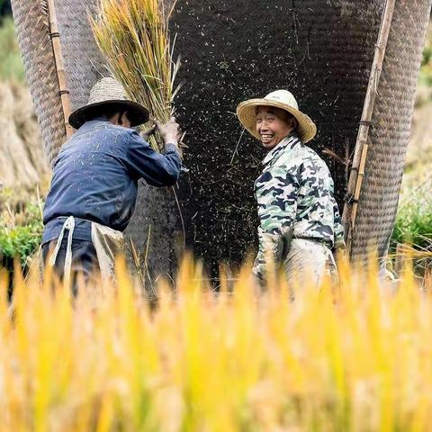 厉行节约，拒绝浪费——板泉一中2019级6班在行动！