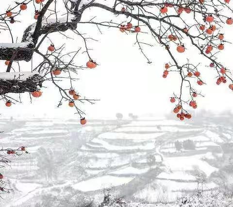 李镇西：老师们累倒了，谁去爱学生呢？爱并不是教育的一切