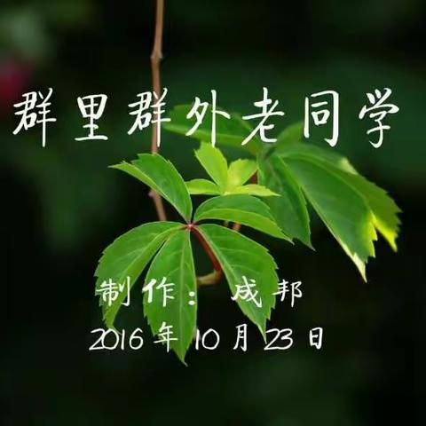 我的老同学