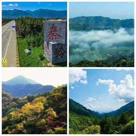 保护秦岭生态 共创美好家园～主题班会（二九班-星球组）