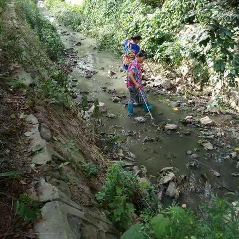 代王街道桥王村加大河道治理力度，不畏高温酷暑