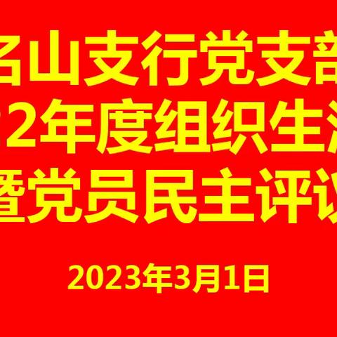 找差距、补短板，凝心聚力启新程——名山支行党支部召开2022年度组织生活会暨党员民主评议