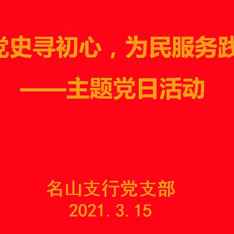 重温党史寻初心，为民服务践宗旨