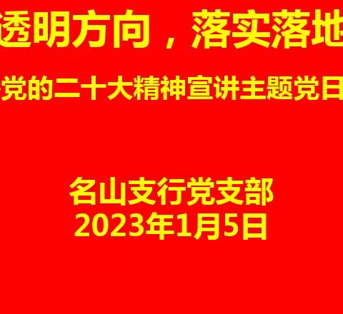 “学深学透明方向，落实落地促发展”名山支行党支部召开党的二十大精神宣讲主题党日活动