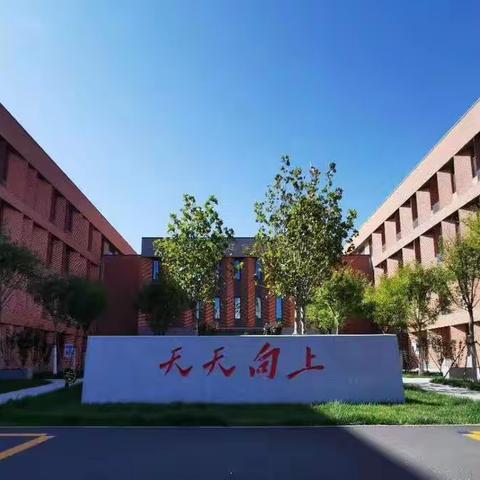 游学嘉年华，喜迎二十大——大港东城小学四年级综合素质评价