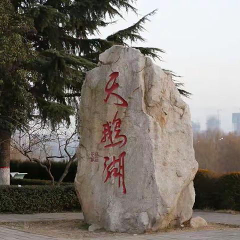 三门峡天鹅湖