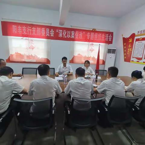 阳丰支行党支部开展“深化以案促改” 专题组织生活会