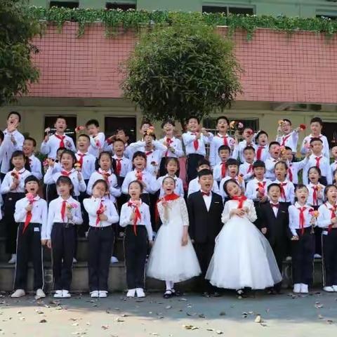 疫情中的花朵，春天里的希望