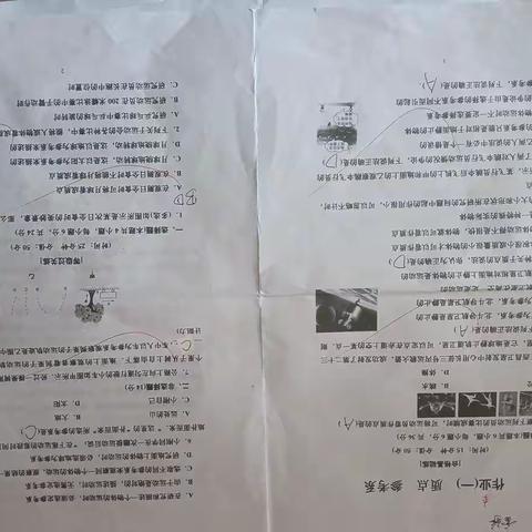 雷婷的19号作业