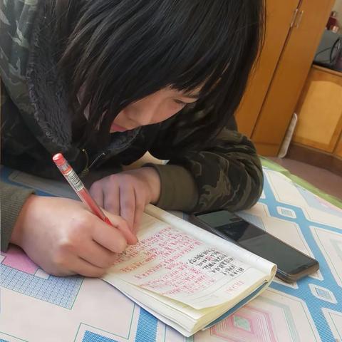 草厂庄完全小学五年级：抗击疫情，我们在行动——停课不停学