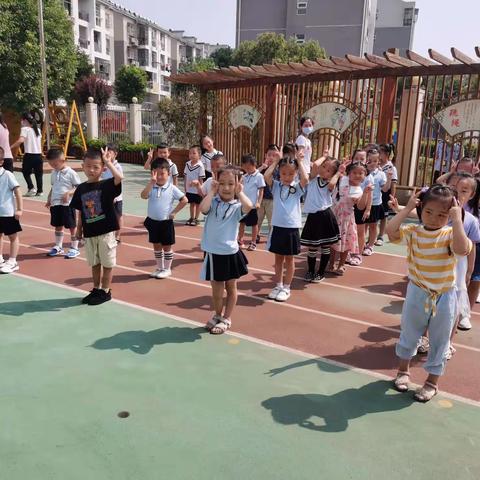 ✨回首美好，展望未来✨ 柏泉实验幼儿园大二班上学期期末总结篇